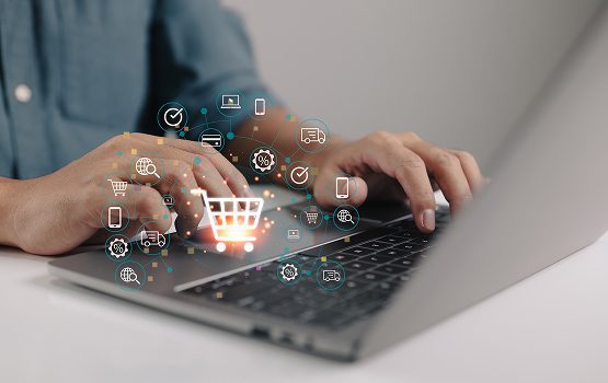 Wisitech's Ecommerce SEO challenges industry leaders with strategic SEO including Core Web Vitals and product schema optimization to convert browsers into buyers.