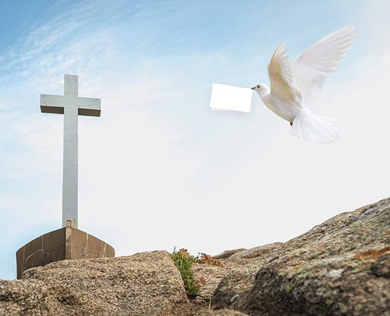A simple wooden cross on a hilltop under a bright sky with a white dove flying nearby, symbolizing spiritual connection, hope, and the successful delivery of a faithful and uplifting solution.