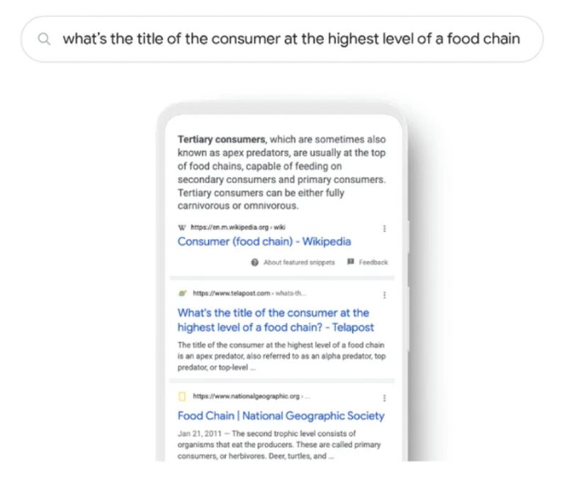 Google RankBrain ranks and orders top search results.