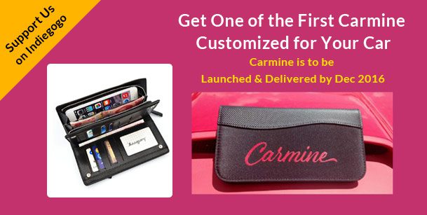 Crowdfunding Campaign on Indiegogo