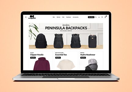 Wisitech portfolio: Example of a high-performance Ecommerce website showcasing
