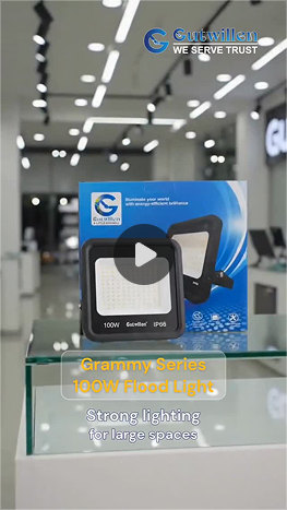 Gutwillen reel showcasing the 100W LED flood light for commercial and outdoor lighting applications.