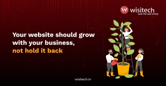 Comparison of custom website development and template websites for Indian businesses